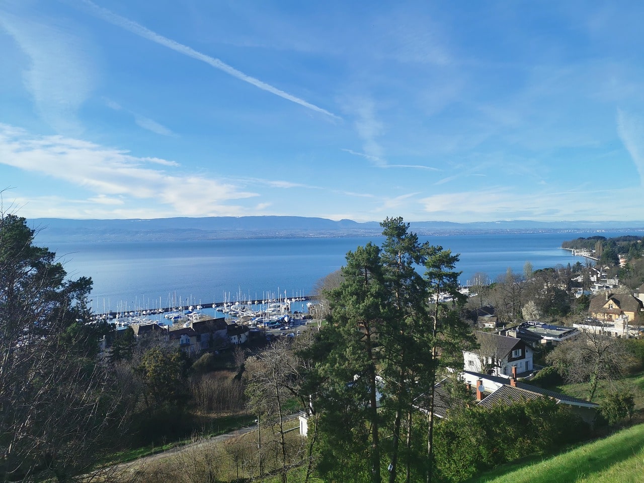 immobilier thonon les bains